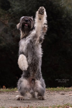 Jarmila Hlaváčová